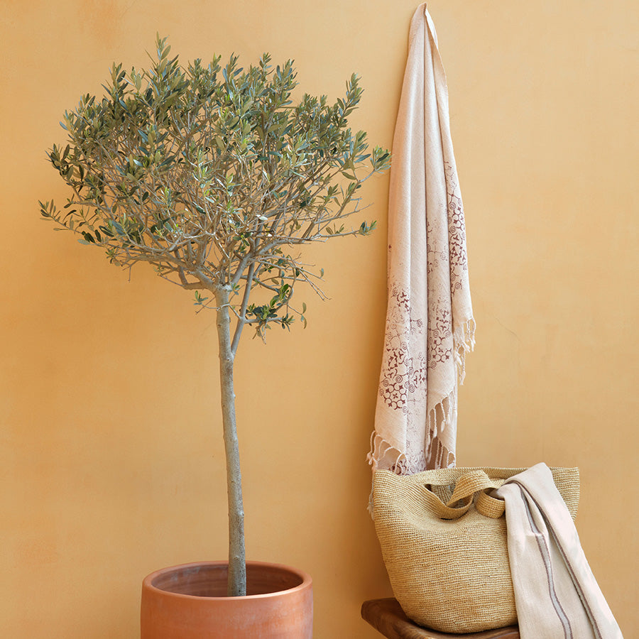 Tripolis Keten Peştamal